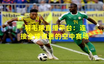 羽毛球直播平台:连接全球球迷的空中赛场