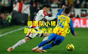 德国队小猪:绿茵场上的坚韧之心