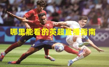 哪里能看的英超直播指南
